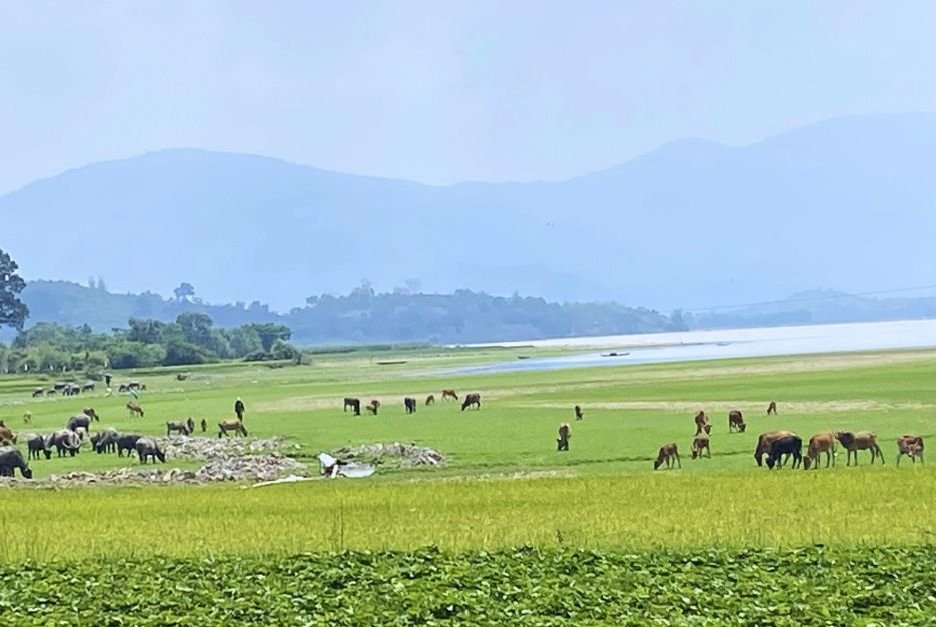 Motorbike trip Da Nang to Hue via Ho Chi Minh Trail  5 days