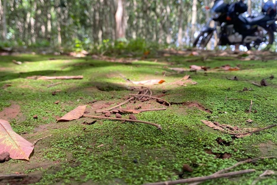 Motorbike trip Dalat to Mui Ne 2 days