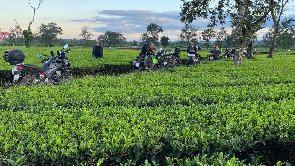 Discover Our Motorbike Tours in Vietnam