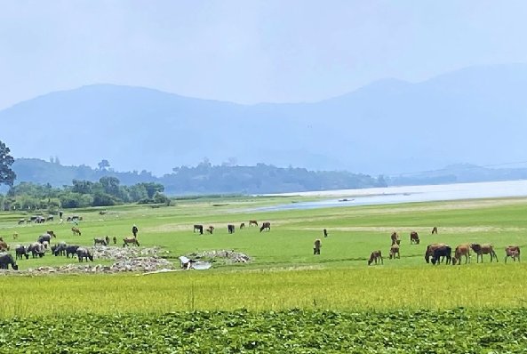 Motorbike trip Nha Trang to Dalat 3 days