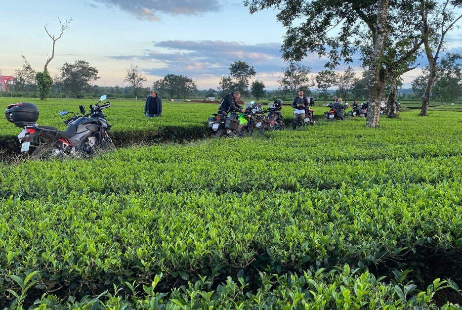 Discover Our Motorbike Tours in Vietnam